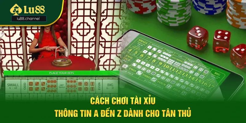 Cách Chơi Tài Xỉu - Thông Tin A Đến Z Dành Cho Tân Thủ