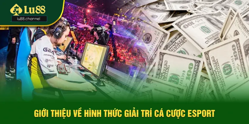 Giới thiệu tổng quan về hình thức giải trí cá cược esport Giới thiệu tổng quan về hình thức giải trí cá cược esport